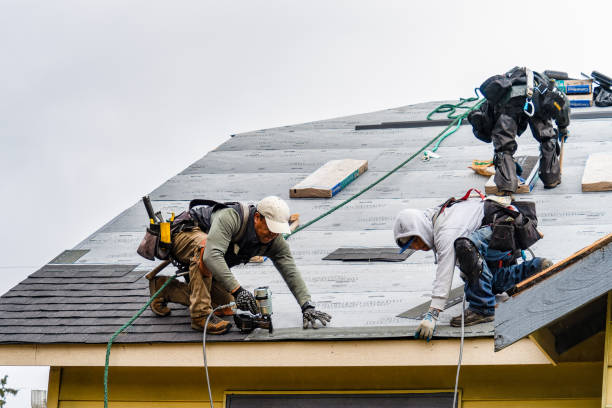 Professional Flat Roof Repair technician working in St Columbans, NE